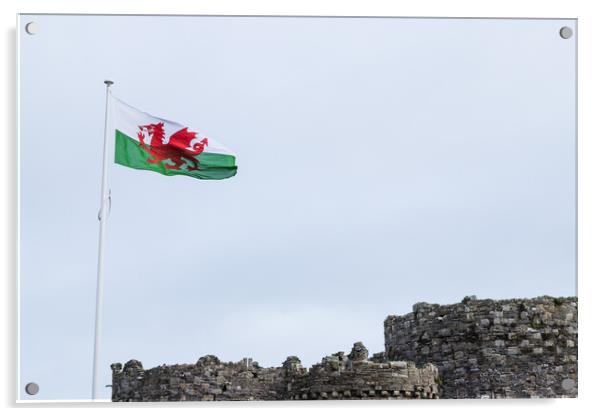 Welsh flag above Beaumaris Castle Acrylic by Jason Wells