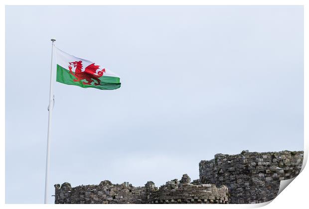 Welsh flag above Beaumaris Castle Print by Jason Wells
