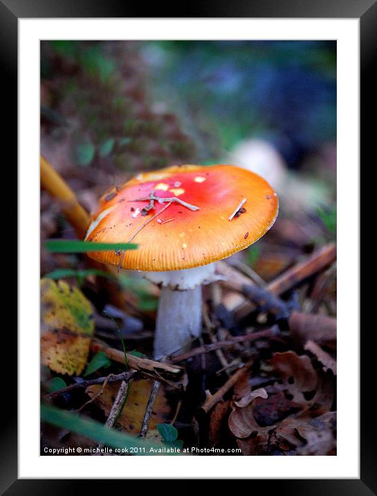 little mushroom Framed Mounted Print by michelle rook