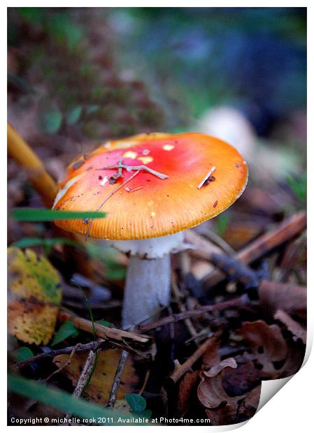 little mushroom Print by michelle rook