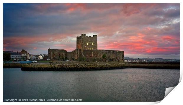 Preserved Castle Print by Cecil Owens