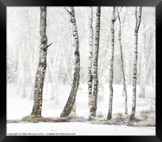 Winter Bare Framed Print by Mike Farrance