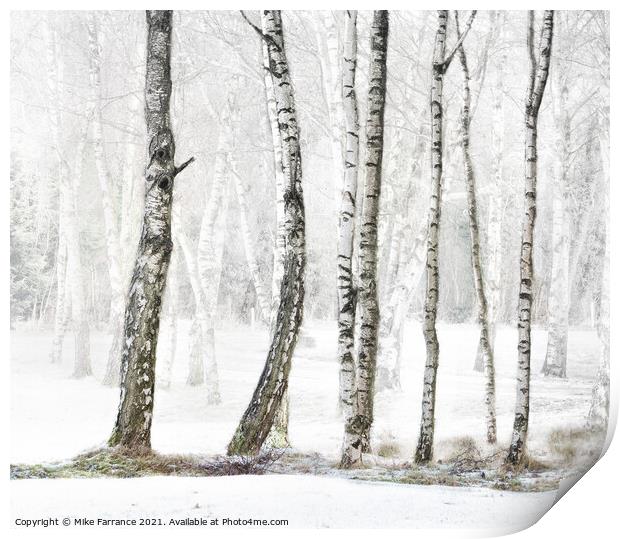Winter Bare Print by Mike Farrance