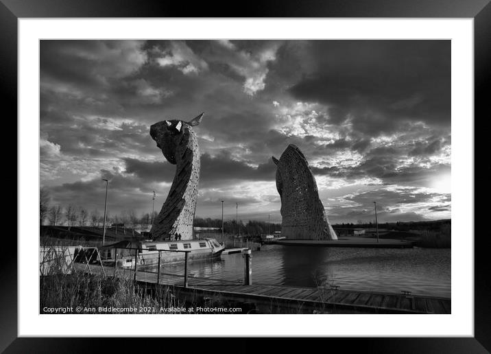 Kelpies from behind in Black and White Framed Mounted Print by Ann Biddlecombe