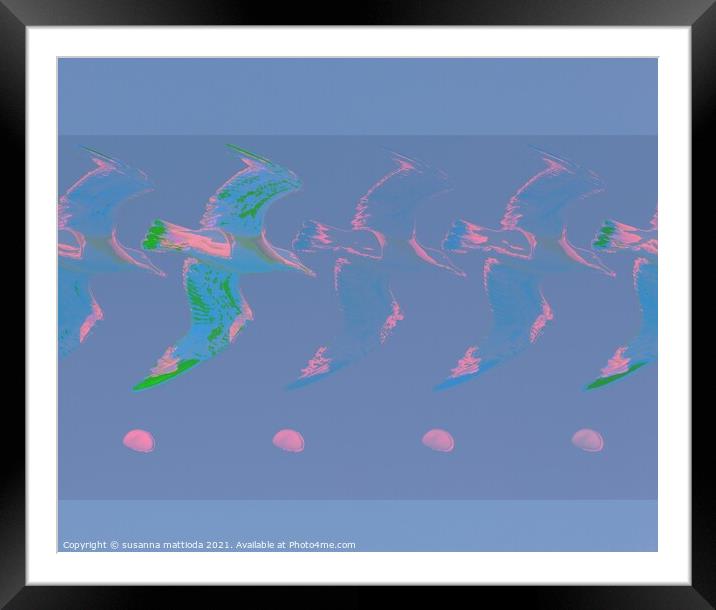 Glitch art on seagull Framed Mounted Print by susanna mattioda