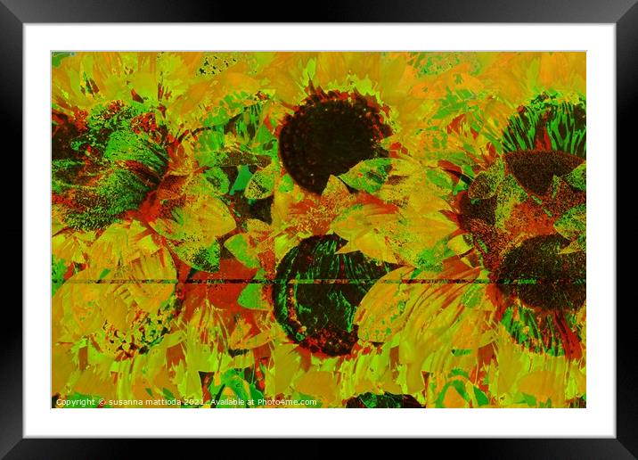 Glitch art on sunflowers Framed Mounted Print by susanna mattioda