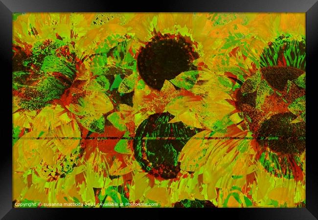 Glitch art on sunflowers Framed Print by susanna mattioda