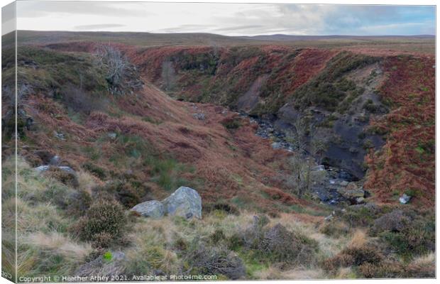 Northumberland moorland Canvas Print by Heather Athey