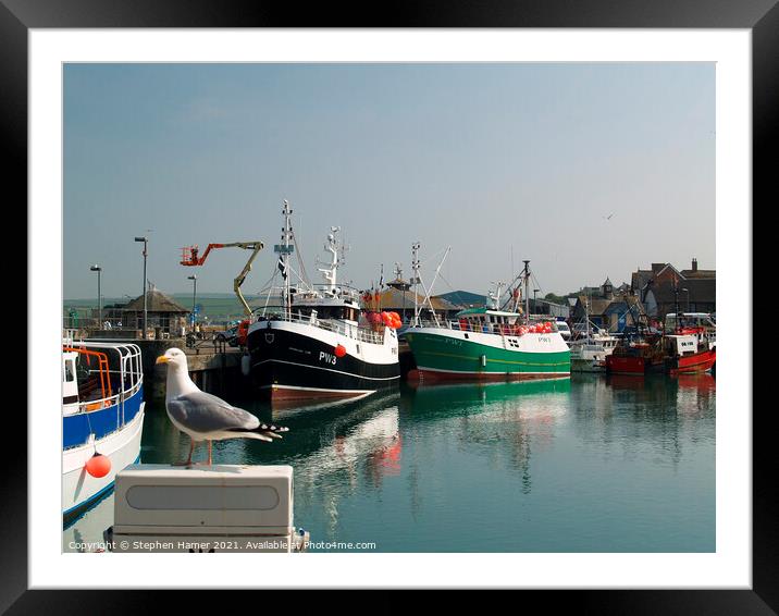 Padstow Trawlers Framed Mounted Print by Stephen Hamer
