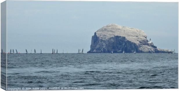 Yachts sailing in front of Bass Rock with lighthouse on right-hand side Canvas Print by Joan Rosie