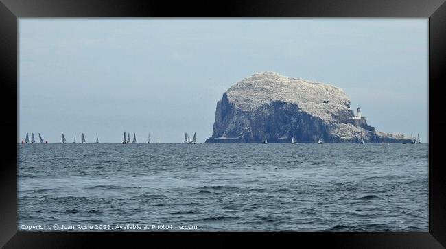 Yachts sailing in front of Bass Rock with lighthouse on right-hand side Framed Print by Joan Rosie