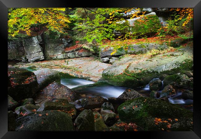 Creek in Autumn Mountain Forest Framed Print by Artur Bogacki