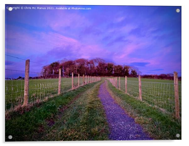 A Vibrant Skys Farewell Acrylic by Chris Mc Manus