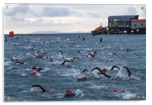 Ironman Wales swim at Tenby, Pembrokeshire, UK Acrylic by Andrew Bartlett