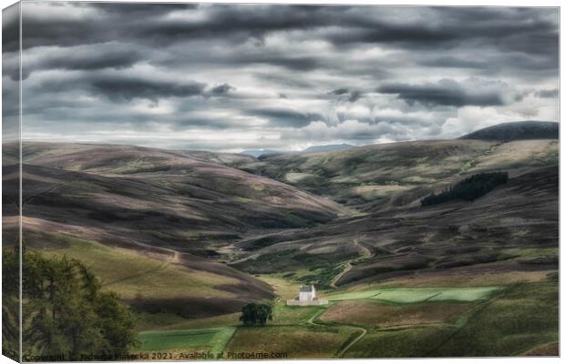 Cairngorms National Park Canvas Print by Jadwiga Piasecka