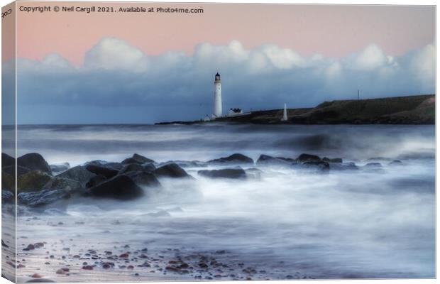 Scurdieness lighthouse  Canvas Print by Neil Cargill