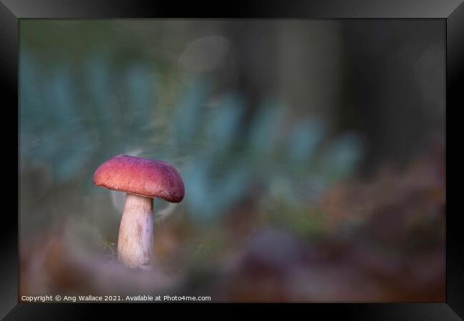 Brittlegill mushroom Framed Print by Ang Wallace