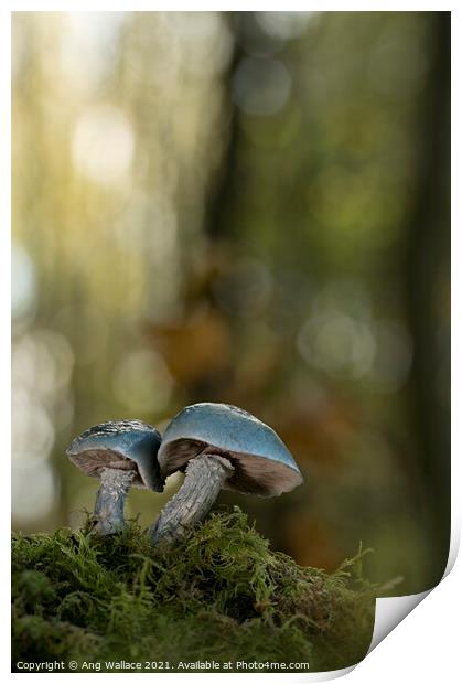 Blue roundhead mushrooms Print by Ang Wallace