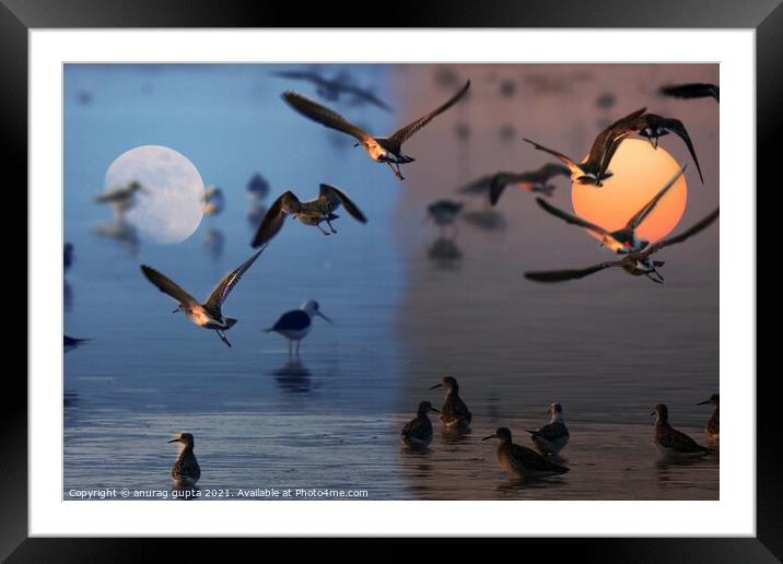 two worlds Framed Mounted Print by anurag gupta