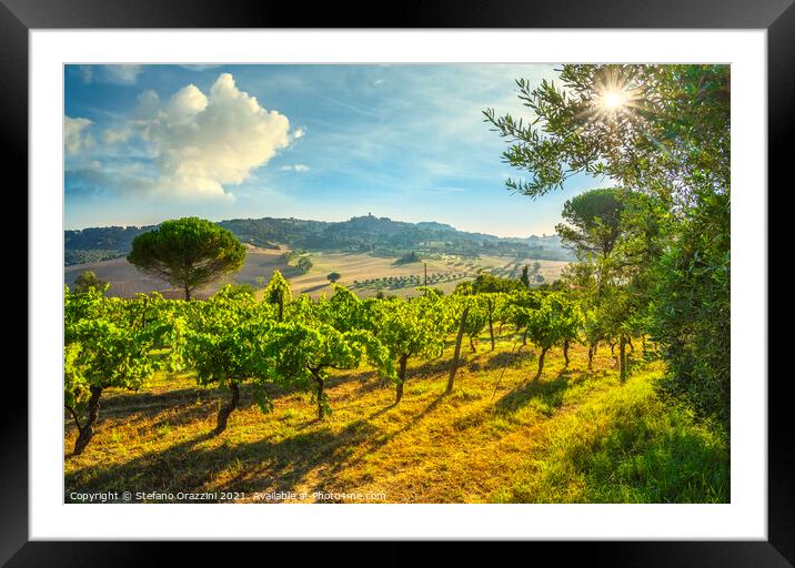 Casale Marittimo vineyards and village, landscape in Maremma. Framed Mounted Print by Stefano Orazzini