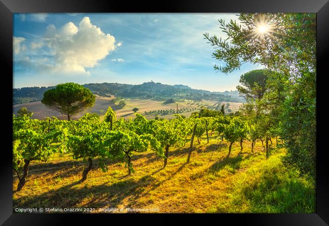 Casale Marittimo vineyards and village, landscape in Maremma. Framed Print by Stefano Orazzini