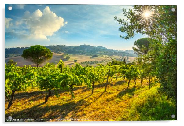 Casale Marittimo vineyards and village, landscape in Maremma. Acrylic by Stefano Orazzini