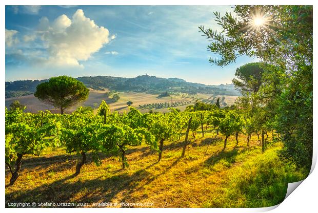 Casale Marittimo vineyards and village, landscape in Maremma. Print by Stefano Orazzini