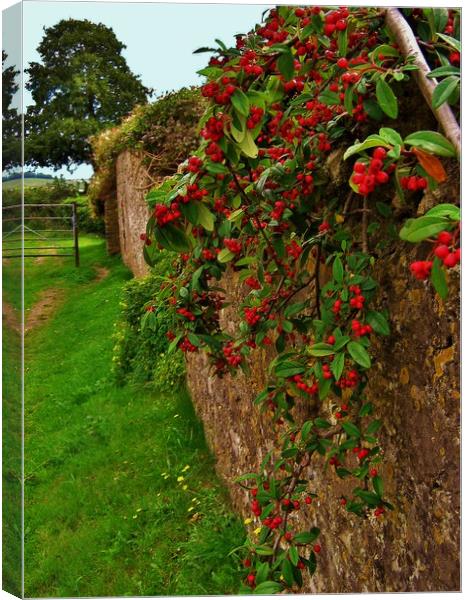 Brightly Berried Farmhouse Wall Canvas Print by Heather Goodwin