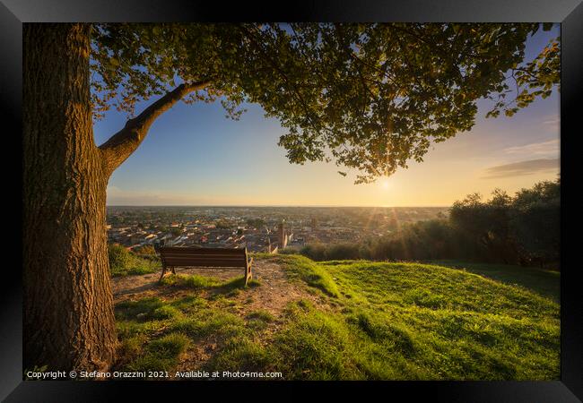 Tree, bench and Pietrasanta village aerial view at sunset, Italy Framed Print by Stefano Orazzini