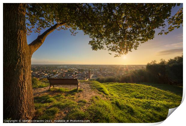 Tree, bench and Pietrasanta village aerial view at sunset, Italy Print by Stefano Orazzini