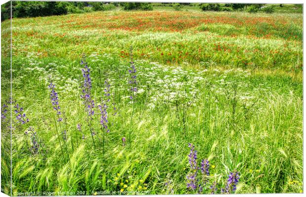 A Sea of Wildflowers Canvas Print by Roger Mechan