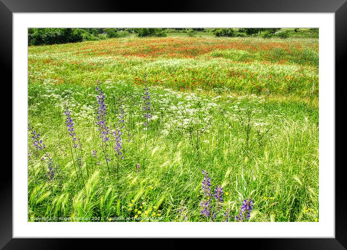 A Sea of Wildflowers Framed Mounted Print by Roger Mechan