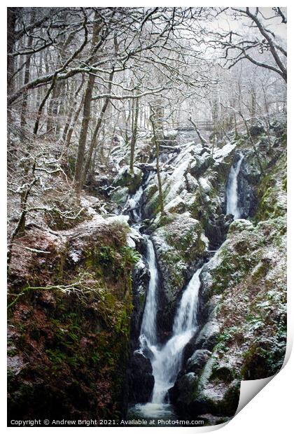 Snowy Falls Print by Andrew Bright