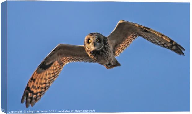 Short Eared Owl In Flight Canvas Print by Ste Jones
