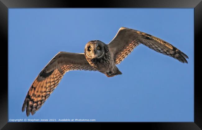 Short Eared Owl In Flight Framed Print by Ste Jones
