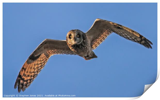 Short Eared Owl In Flight Print by Ste Jones