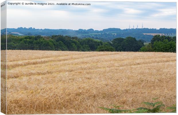 Field of wheat Canvas Print by aurélie le moigne