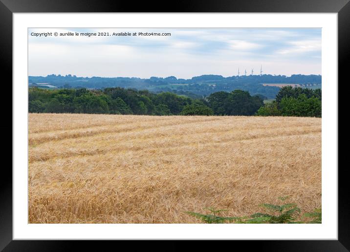 Field of wheat Framed Mounted Print by aurélie le moigne
