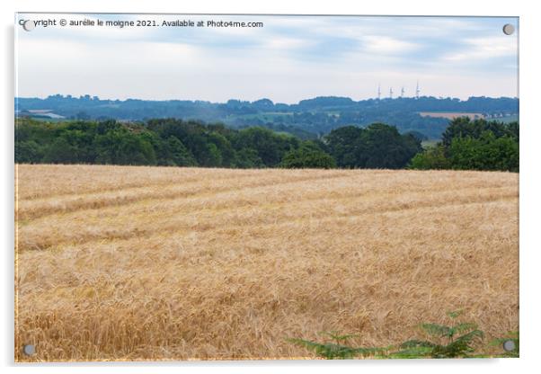 Field of wheat Acrylic by aurélie le moigne