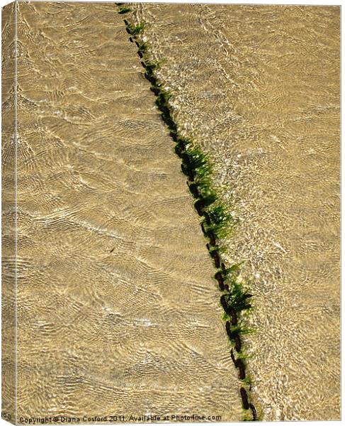 Seaweed covered chain divides ripples on beach Canvas Print by DEE- Diana Cosford