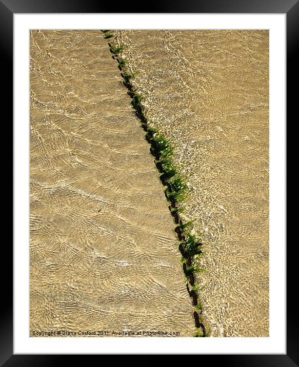 Seaweed covered chain divides ripples on beach Framed Mounted Print by DEE- Diana Cosford