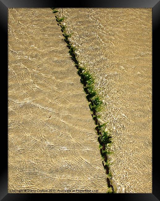 Seaweed covered chain divides ripples on beach Framed Print by DEE- Diana Cosford