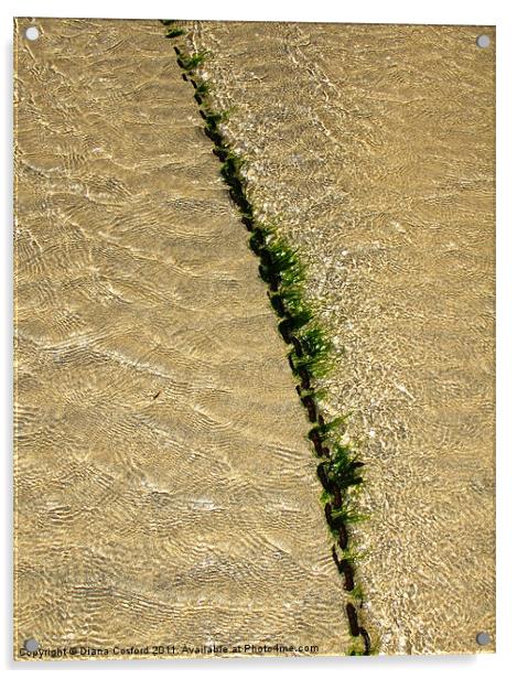 Seaweed covered chain divides ripples on beach Acrylic by DEE- Diana Cosford