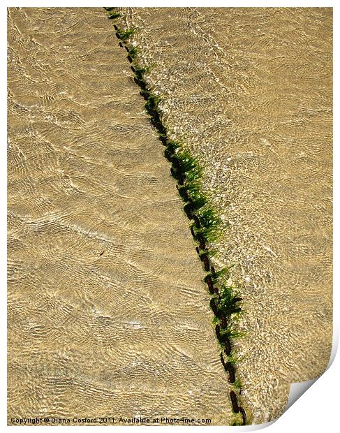 Seaweed covered chain divides ripples on beach Print by DEE- Diana Cosford