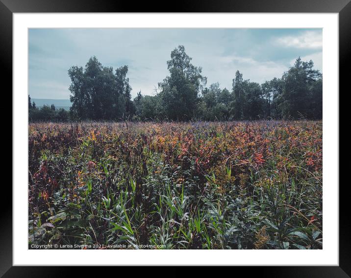 Outdoor field Framed Mounted Print by Larisa Siverina