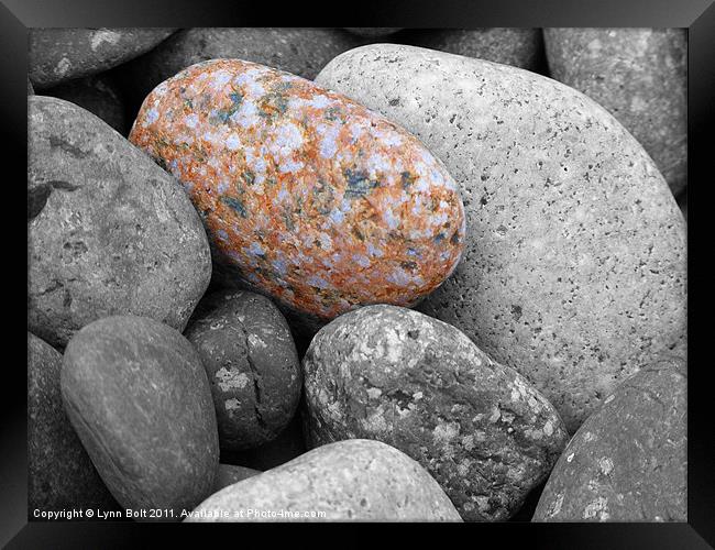 Pebbles on the Beach Framed Print by Lynn Bolt