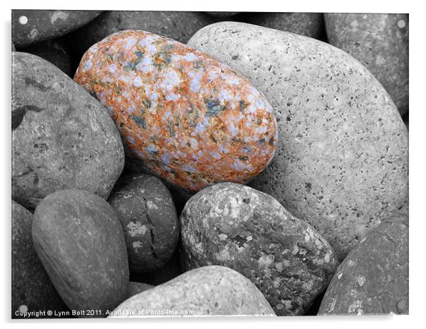 Pebbles on the Beach Acrylic by Lynn Bolt