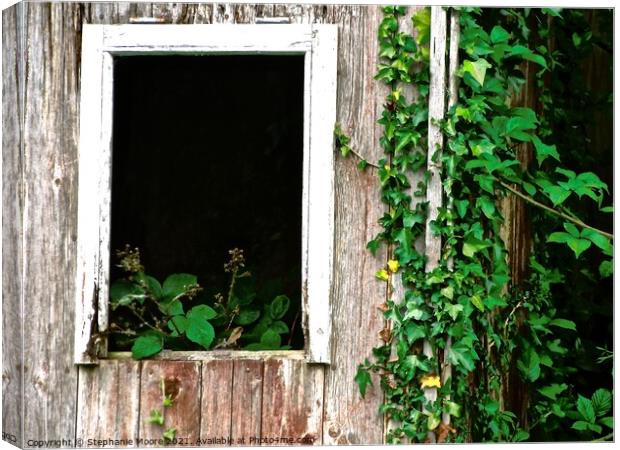Overgrown cottage window Canvas Print by Stephanie Moore