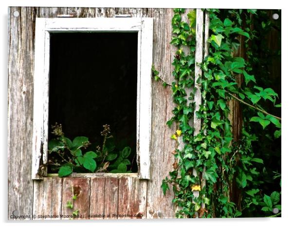 Overgrown cottage window Acrylic by Stephanie Moore