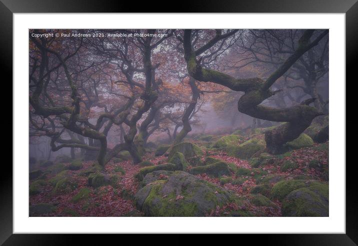 Misty Oaks Padley Gorge Framed Mounted Print by Paul Andrews